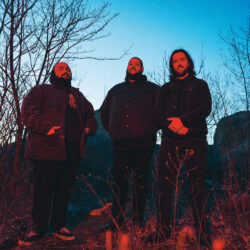 PRIMITIVE MAN | Support KOLLAPS