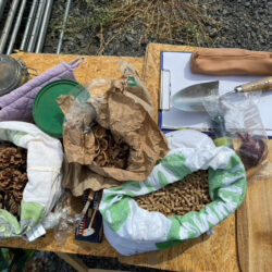 Pflanzentauschbörse: Auf die Pflanze - fertig - los! & Pflanzenkohle-Workshop für Terra Preta