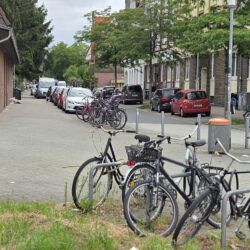 Ehemaliger Baumstandort Franz-Nause-Straße Ecke Weidestraße
