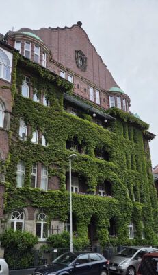 Fassadenbegrünung am Gebäude Lindener Marktplatz