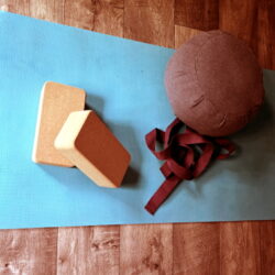 YIN & VINYASA YOGA (ANFÄNGER*INNEN)