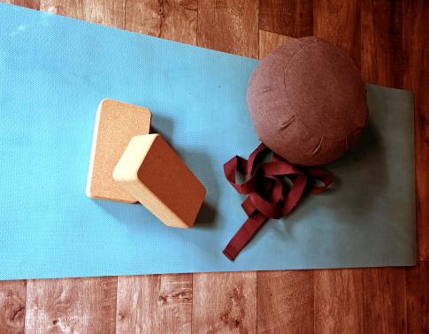 YIN & VINYASA YOGA (ANFÄNGER*INNEN)
