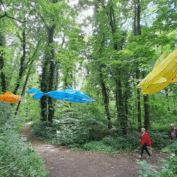 Finissage: Lichtkunstinstallation "SCHWARM"